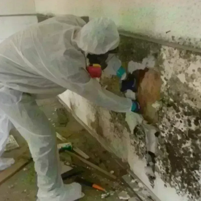 Mold Remediation and Removal in Marlborough, NH